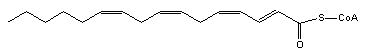 2,4,7,10-Hexadecatetraenoyl-CoA