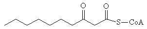 3-Ketocaproyl-CoA