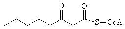 3-Ketocapryloyl-CoA