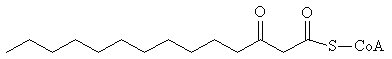 3-Ketomyristoyl-CoA