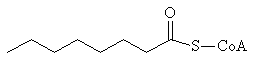 Capryloyl-CoA