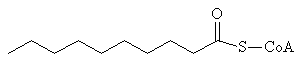 Caproyl-CoA