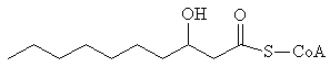 3-Hydroxycaproyl-CoA