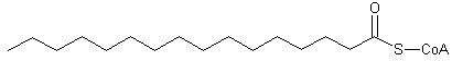 Palmitoyl-CoA