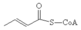 Butenoyl-CoA