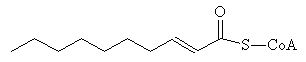 Caprenoyl-CoA