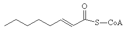 Caprylenoyl-CoA