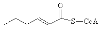 Hexenoyl-CoA