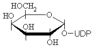 Galactose-1-UDP